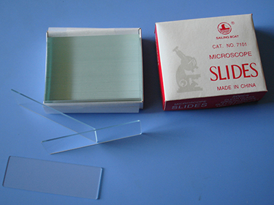 Microscope slide 7101